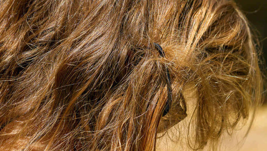 Nahaufnahme von braunen Haaren.