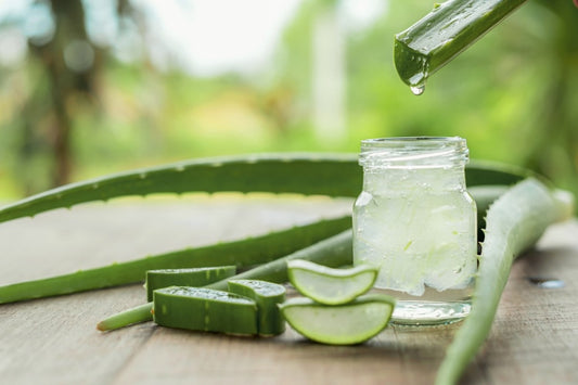 Aloe Vera Gel gegen Haarausfall wird in ein Glas extrahiert